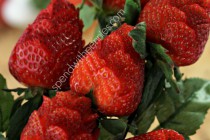 strawberry-roses-4